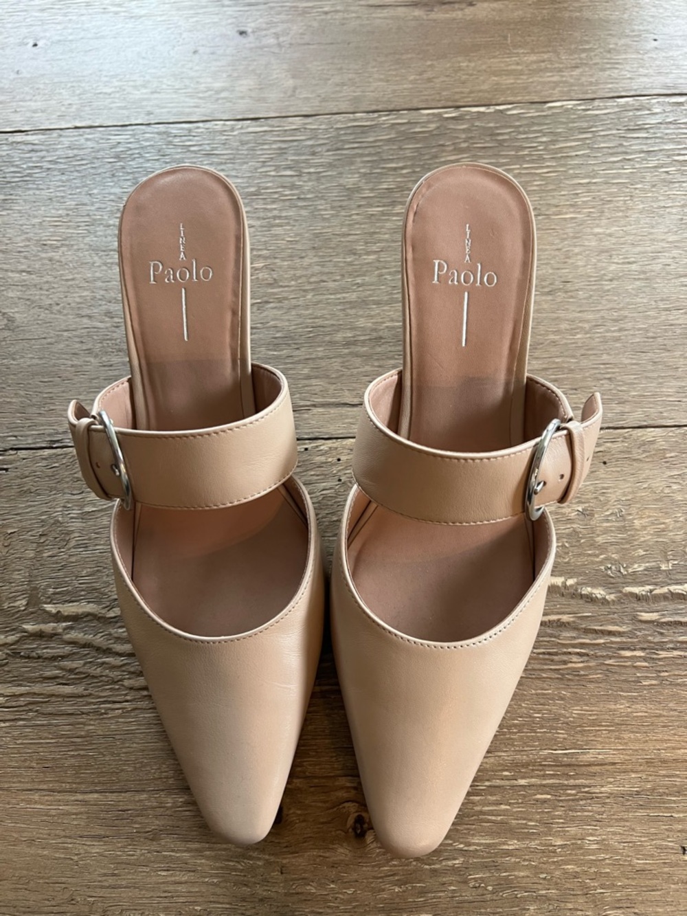 Paolo Blush Beige Pointed-Toe Buckle Mules - Picture 4 of 9